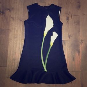 Victoria Beckham Dress